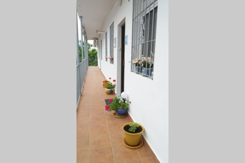 Apartamento Al-Zhara, Junto Puente Romano Lejlighed Córdoba Eksteriør billede